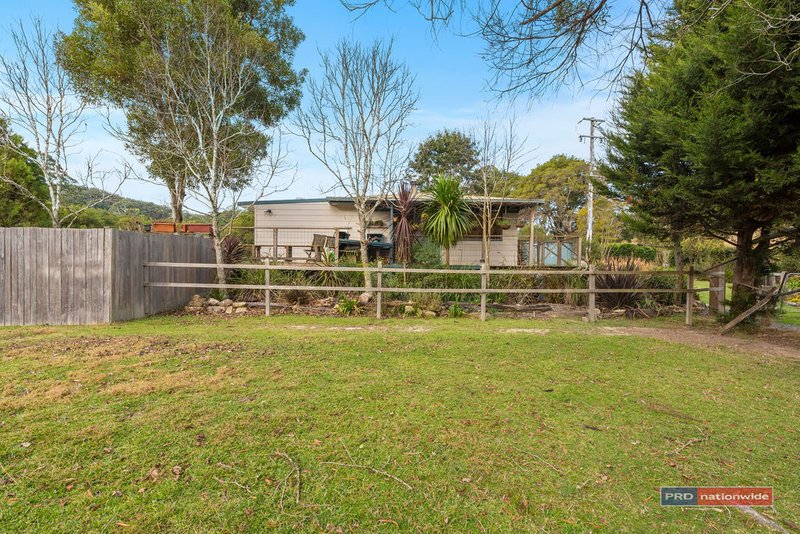 Photo - 259 Lower Bobo Road, Ulong NSW 2450 - Image 18