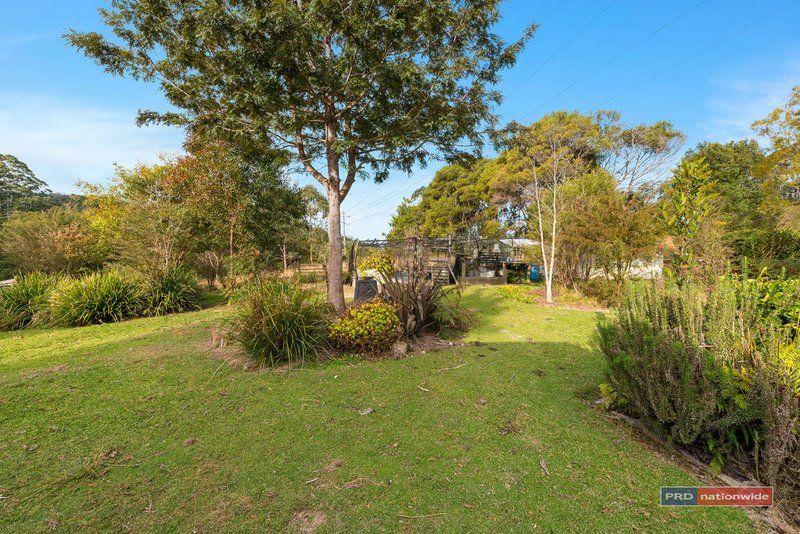 Photo - 259 Lower Bobo Road, Ulong NSW 2450 - Image 22