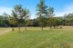 Photo - 259 Lower Bobo Road, Ulong NSW 2450 - Image 24