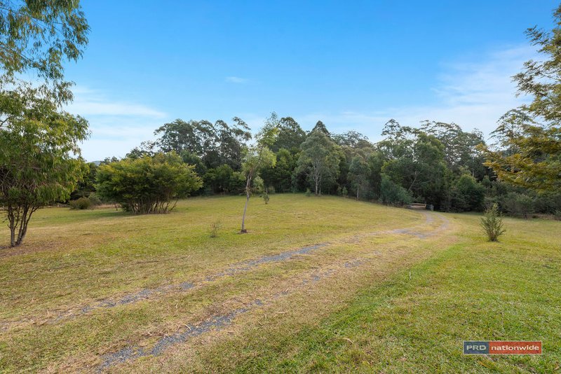 Photo - 259 Lower Bobo Road, Ulong NSW 2450 - Image 25