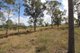 Photo - 259 Taunton Road, Euleilah QLD 4674 - Image 13