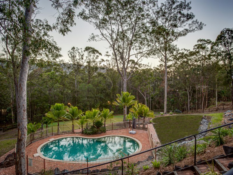 Photo - 26 Albert Evans Drive, Worongary QLD 4213 - Image 2