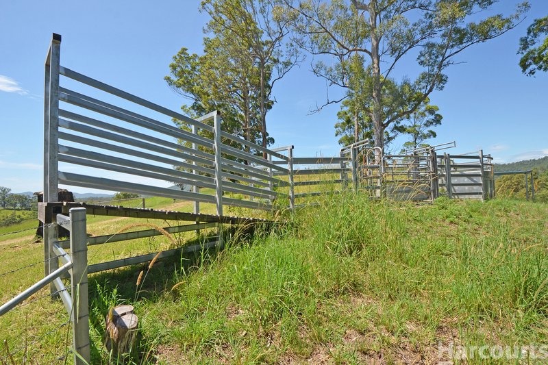 Photo - 26 Apple Tree Road, Bellangry NSW 2446 - Image 12