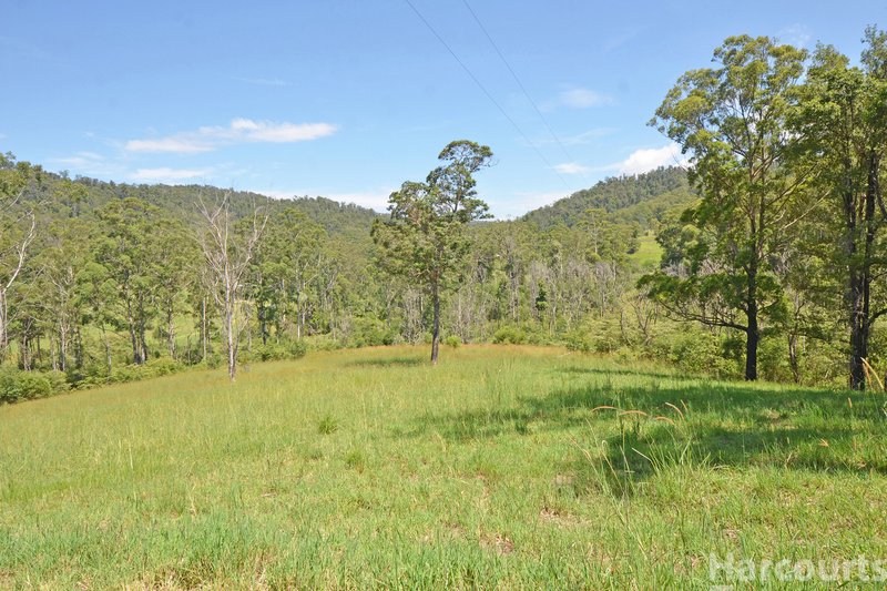 Photo - 26 Apple Tree Road, Bellangry NSW 2446 - Image 13