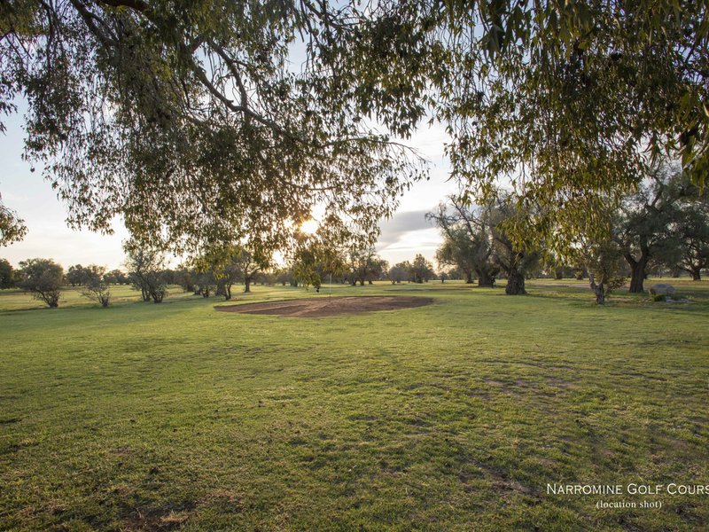 Photo - 26 Bowden Fletcher Drive, Narromine NSW 2821 - Image 5