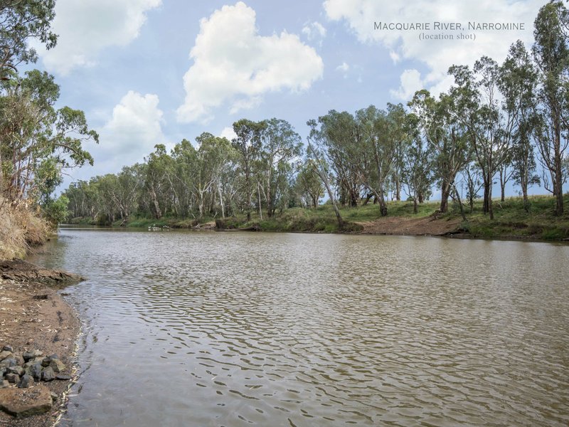 Photo - 26 Bowden Fletcher Drive, Narromine NSW 2821 - Image 10