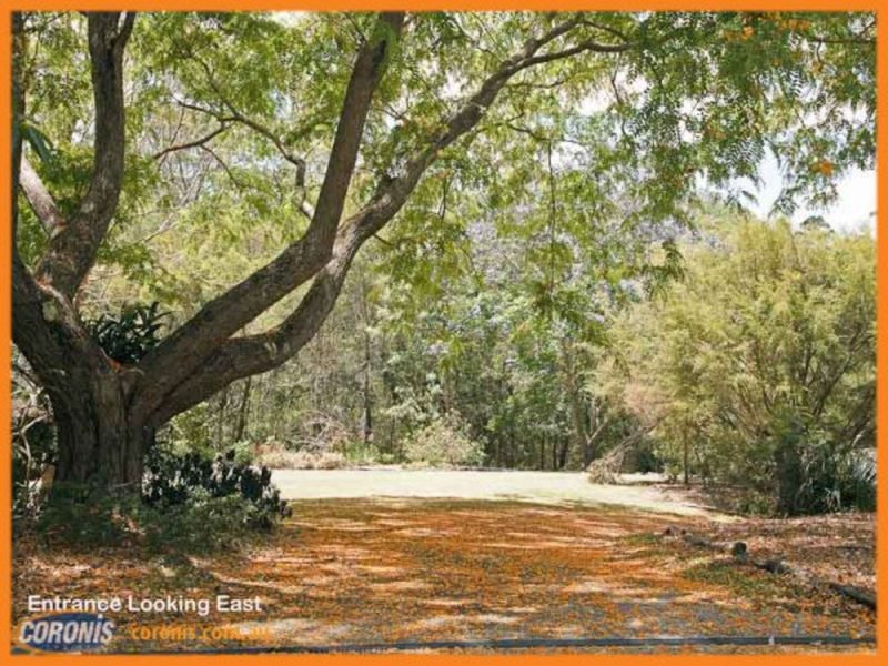 Photo - 26 Branch Creek Road, Clear Mountain QLD 4500 - Image 16