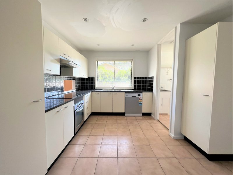 Photo - 26 Broughton Street, Singleton NSW 2330 - Image 3