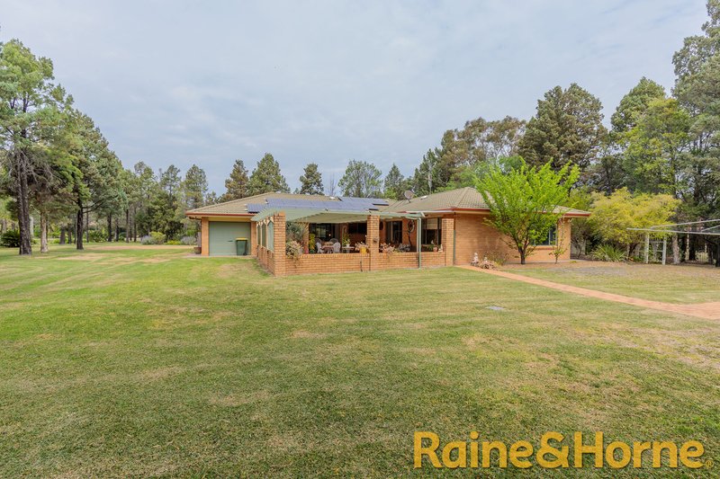 Photo - 26 Butler Drive, Gilgandra NSW 2827 - Image 15