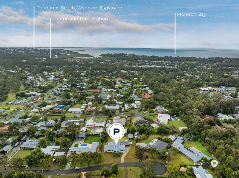 Photo - 26 Catherine Street, Birkdale QLD 4159 - Image 26