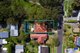 Photo - 26 Cormack Road, Beacon Hill NSW 2100 - Image 16