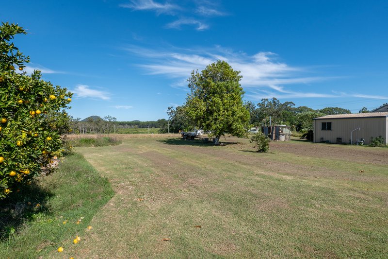 Photo - 26 Crittenden Road, Glass House Mountains QLD 4518 - Image 7