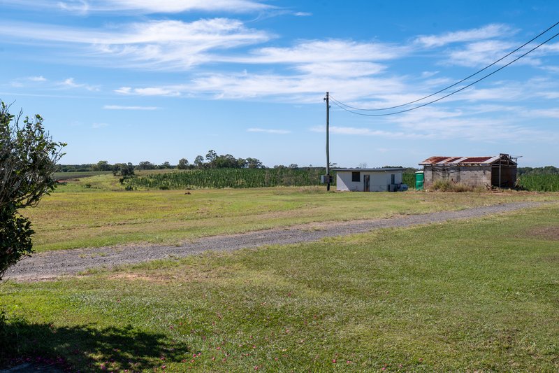 Photo - 26 Crittenden Road, Glass House Mountains QLD 4518 - Image 17
