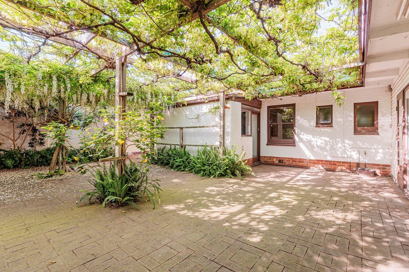 Photo - 26 Davis Street, West Beach SA 5024 - Image 17