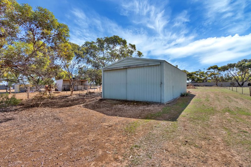 Photo - 26 Dublin Road, Mallala SA 5502 - Image 21