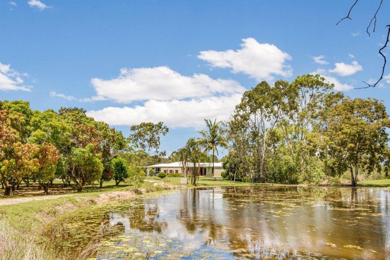 Photo - 26 Handley Drive, Boyne Island QLD 4680 - Image 18