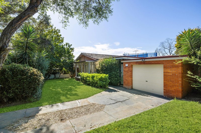 Photo - 26 Hedges Avenue, Strathfield NSW 2135 - Image 10