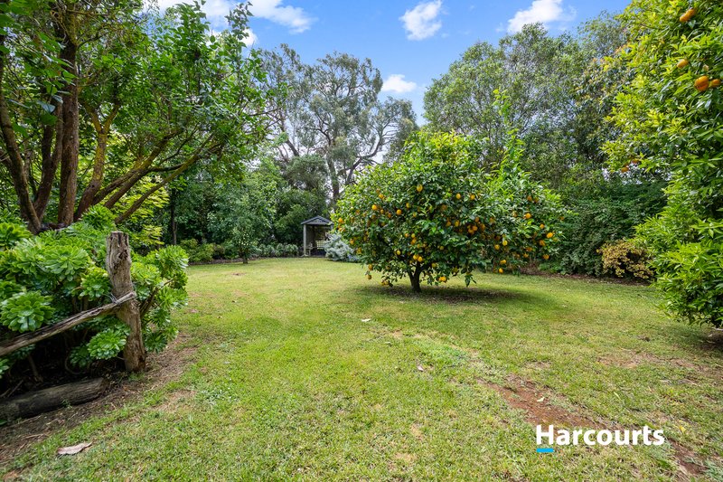 Photo - 26 Higg Street, Leongatha VIC 3953 - Image 6