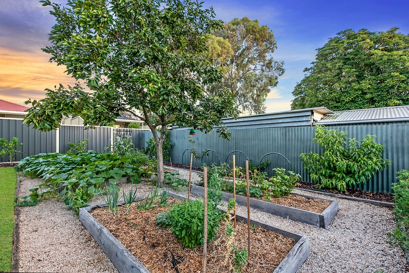 Photo - 26 Hillsea Avenue, Clearview SA 5085 - Image 22