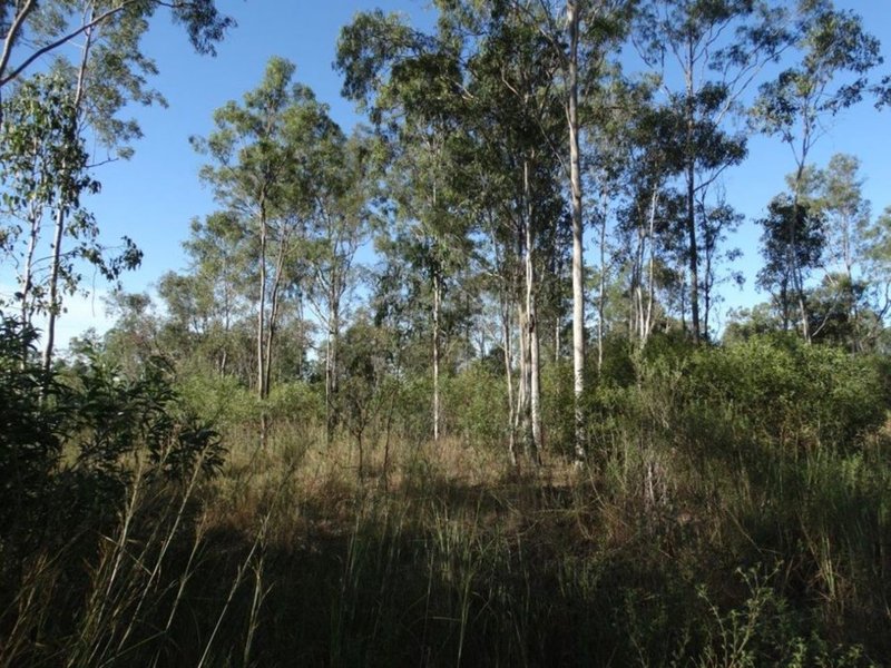 Photo - 26 James Street, Rosedale QLD 4674 - Image 3