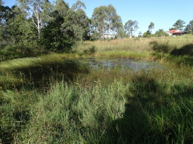 Photo - 26 James Street, Rosedale QLD 4674 - Image 4