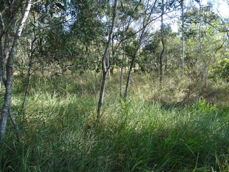 Photo - 26 James Street, Rosedale QLD 4674 - Image 7