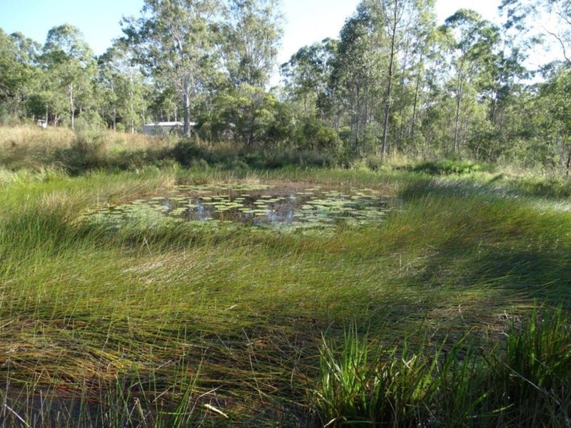 Photo - 26 James Street, Rosedale QLD 4674 - Image 13