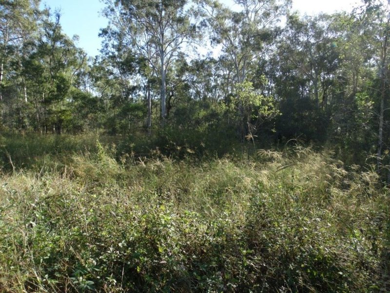 Photo - 26 James Street, Rosedale QLD 4674 - Image 18