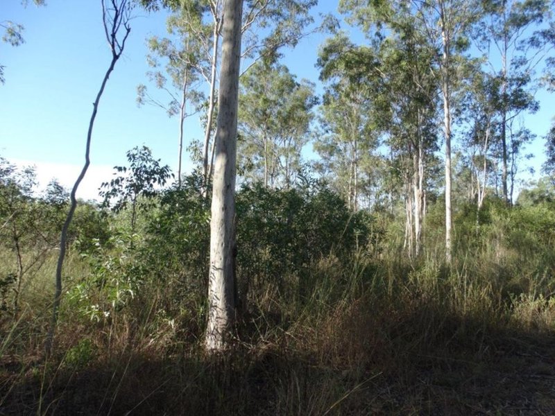 Photo - 26 James Street, Rosedale QLD 4674 - Image 22