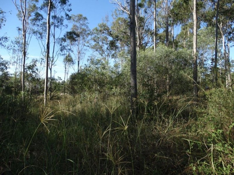 Photo - 26 James Street, Rosedale QLD 4674 - Image 24