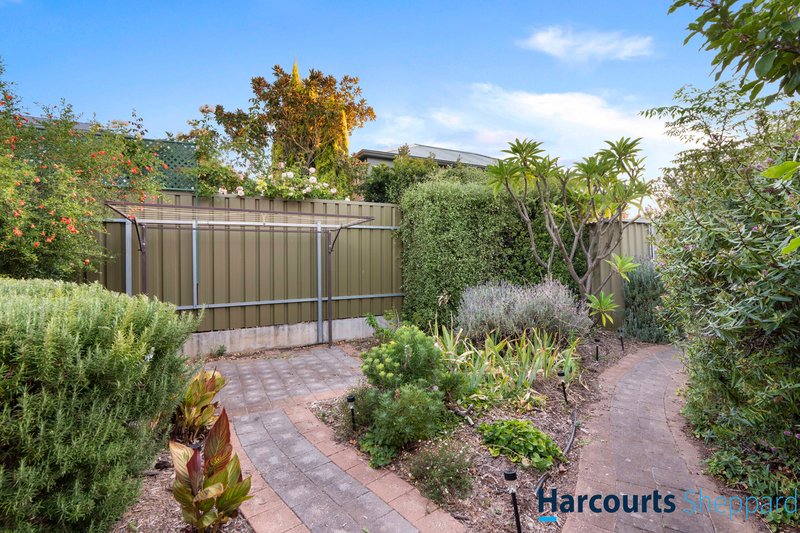 Photo - 26 Jellicoe Street, Broadview SA 5083 - Image 14