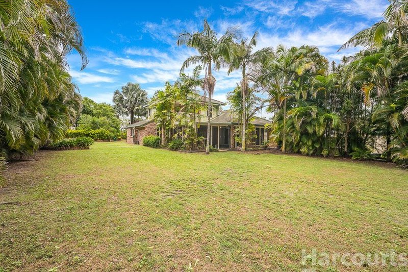 Photo - 26 Jodi Close, Ningi QLD 4511 - Image 4