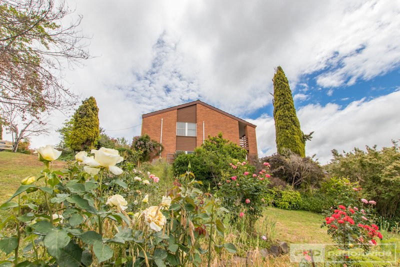 Photo - 26 Lambie Street, Tumut NSW 2720 - Image 13