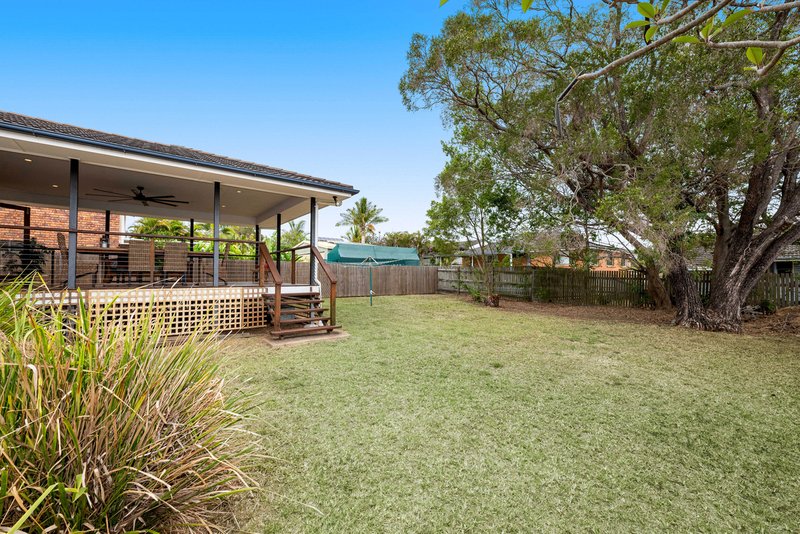 Photo - 26 Ludwick Street, Cannon Hill QLD 4170 - Image 18