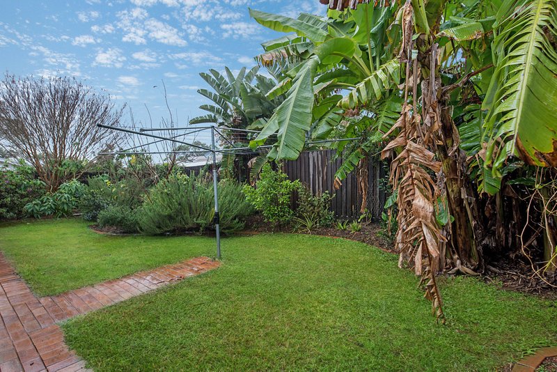 Photo - 26 Mill Road, Buderim QLD 4556 - Image 10