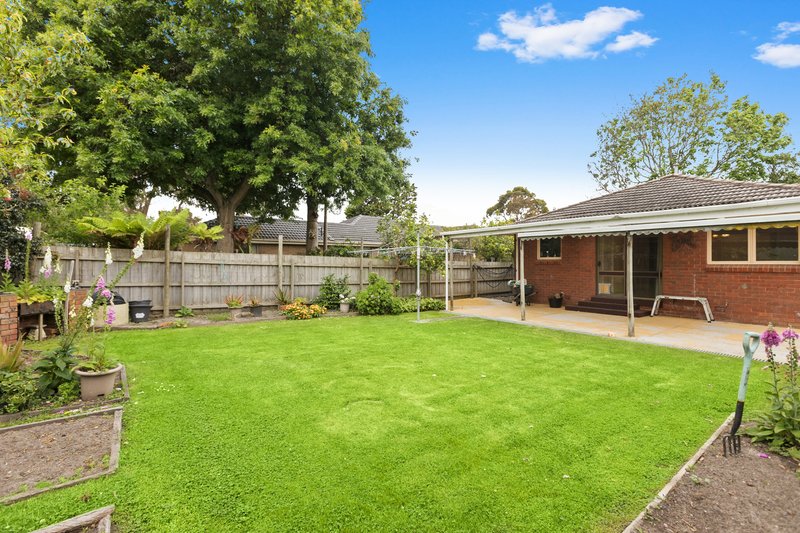 Photo - 26 Montrose Avenue, Somerville VIC 3912 - Image 13