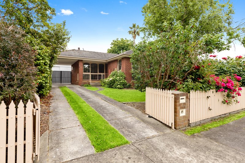 Photo - 26 Montrose Avenue, Somerville VIC 3912 - Image 16