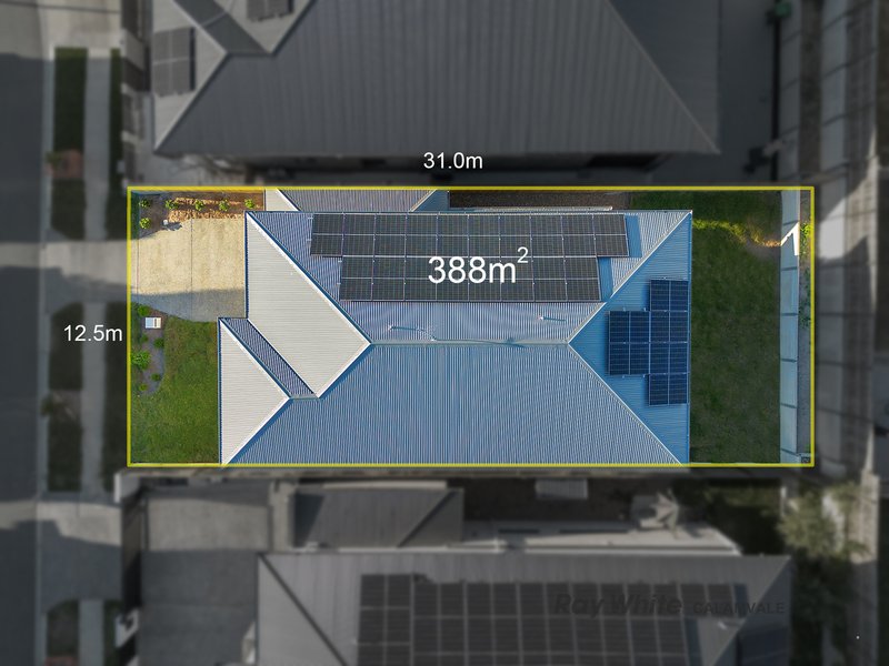 Photo - 26 Neiwand Street, Calamvale QLD 4116 - Image 25