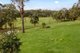 Photo - 26 Nelson Road, Cattai NSW 2756 - Image 2