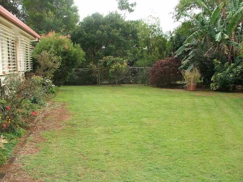 Photo - 26 Pine Street, Buderim QLD 4556 - Image 4