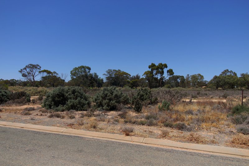 26 Queen Elizabeth Drive, Barmera SA 5345 Real Estate Industry Partners