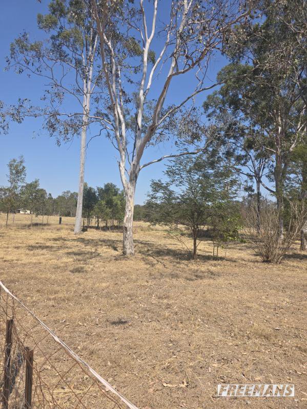 Photo - 26 Racecourse Road, Nanango QLD 4615 - Image 35