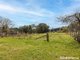 Photo - 26 Reserve Avenue, Black Springs NSW 2787 - Image 7