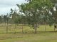 Photo - 26 Runnymede Estate Road, Runnymede QLD 4615 - Image 22