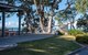 Photo - 26 Seabreeze Cct , Deception Bay QLD 4508 - Image 20