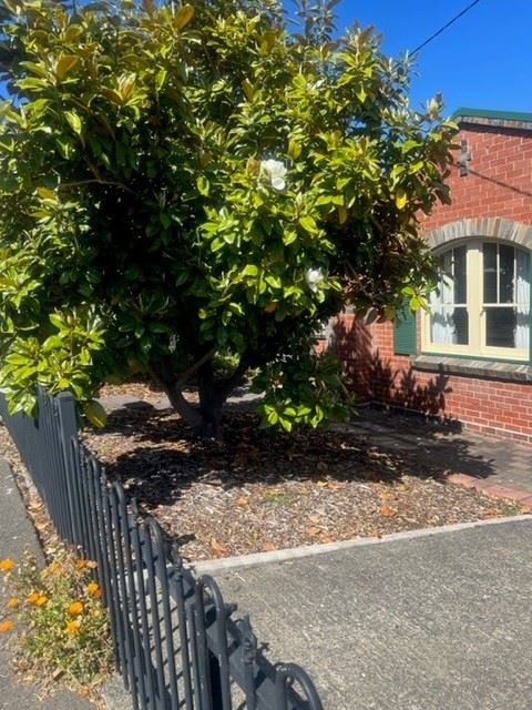 26 Seymour Street, New Town TAS 7008