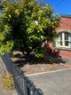 Photo - 26 Seymour Street, New Town TAS 7008 - Image 1