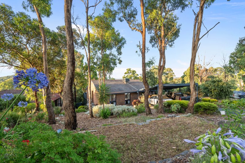 Photo - 26 Shanklin Street, Hurstbridge VIC 3099 - Image 18