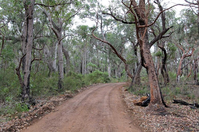 Photo - 26 Sheoak Drive, Denmark WA 6333 - Image 18