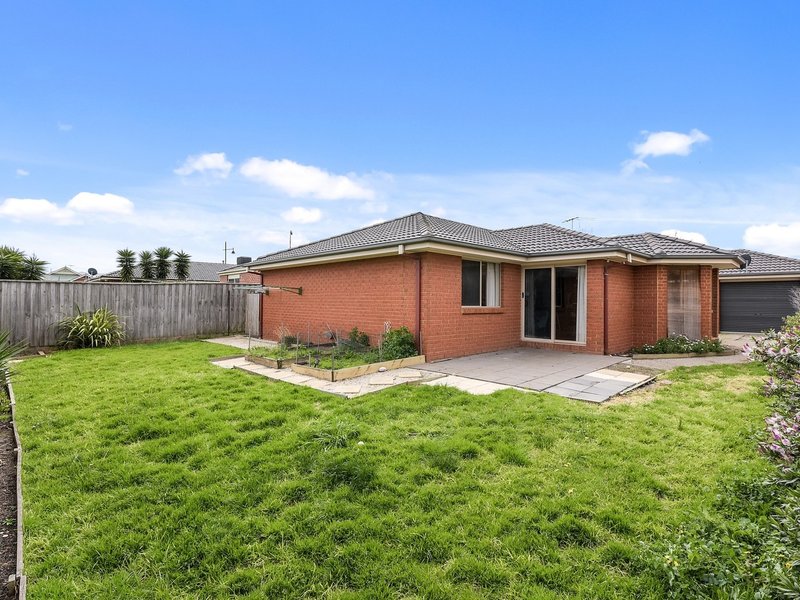 Photo - 26 Silky Oak Drive, Cranbourne VIC 3977 - Image 8